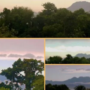 Jolie Studette Dans Un Environnement Arbore Les Abymes